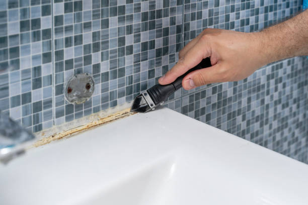 Best Local Mold Removal Service  in Hubbard, OR